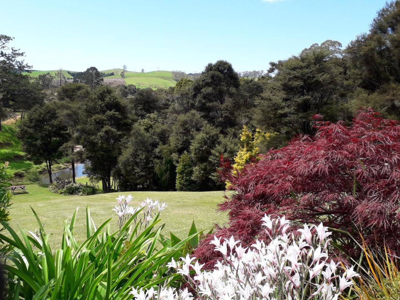 Morepork Riverside Lodge Paihia Dış mekan fotoğraf