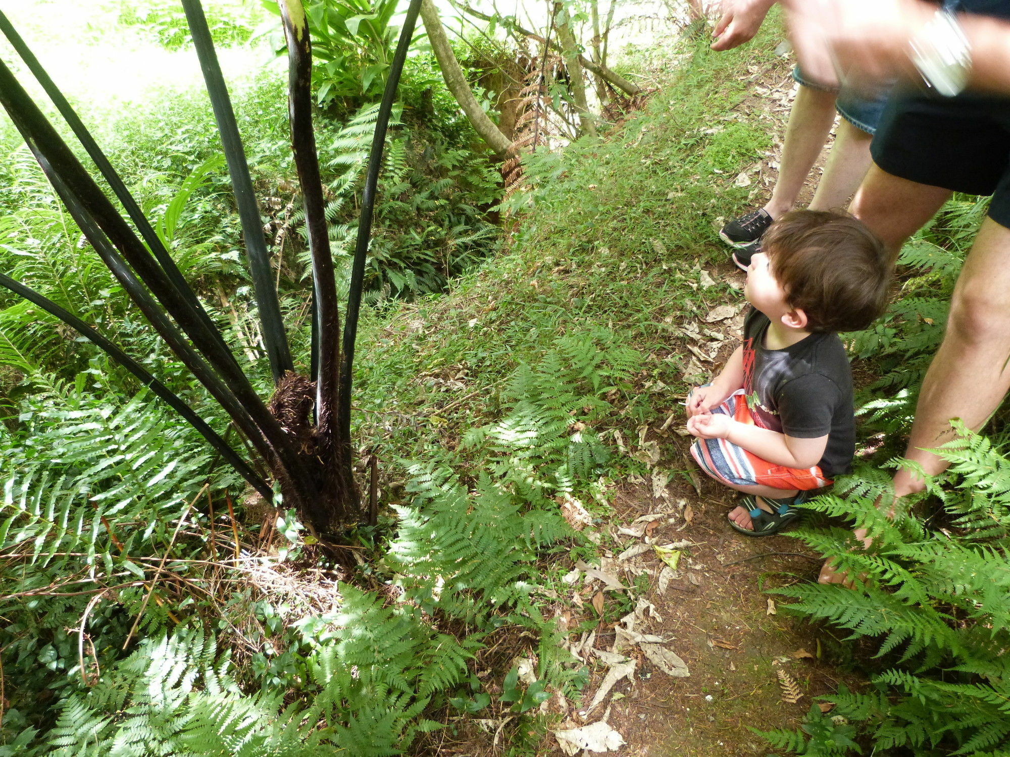 Morepork Riverside Lodge Paihia Dış mekan fotoğraf