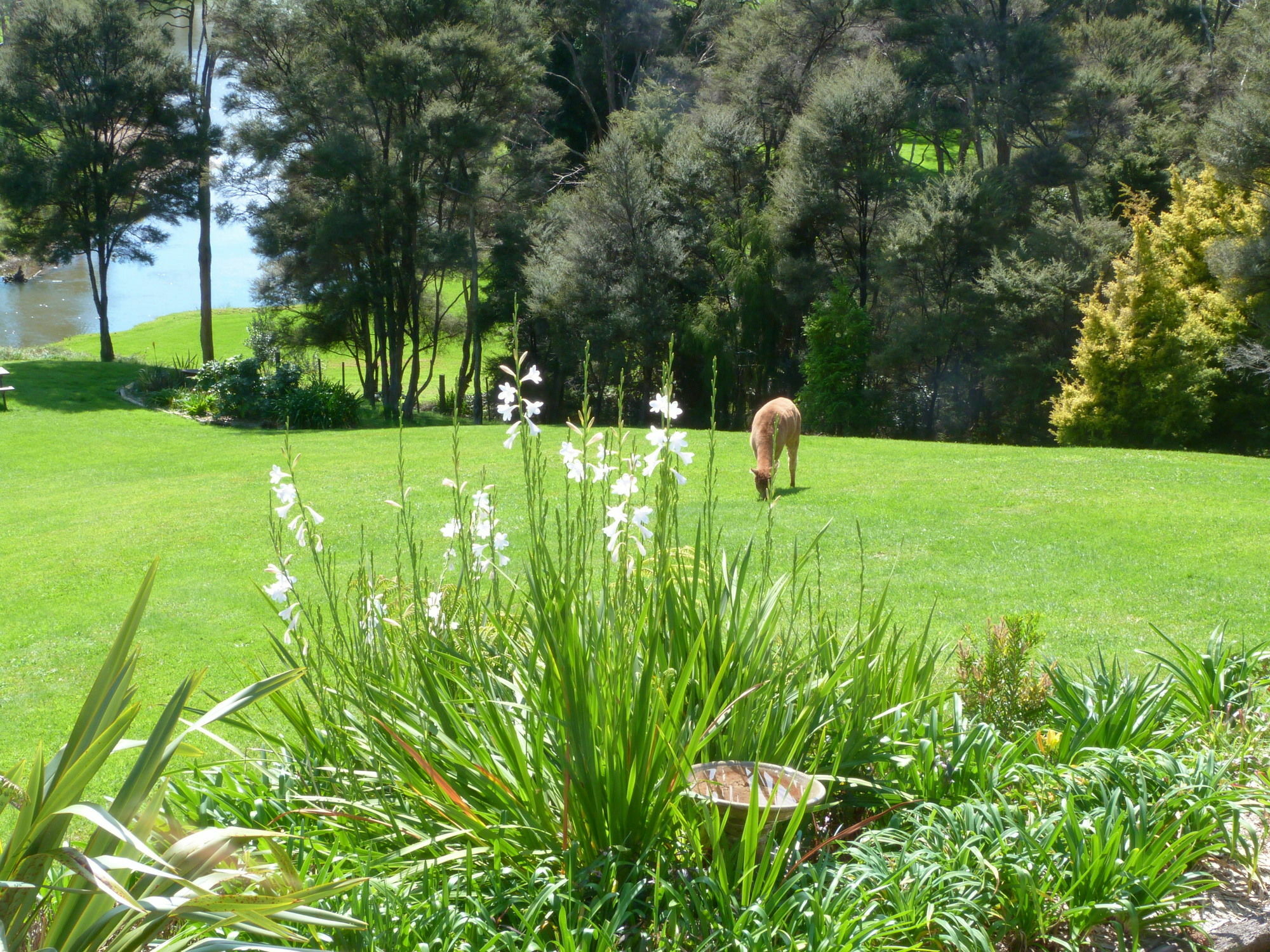 Morepork Riverside Lodge Paihia Dış mekan fotoğraf